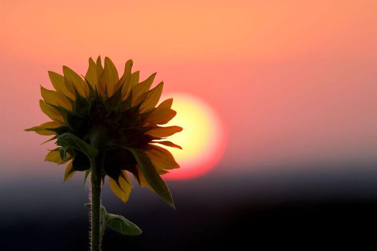 Wetter in Baden-Württemberg
