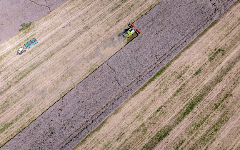 Erntebilanz des Landesbauernverbands Erntebilanz des Landesbauernverbands