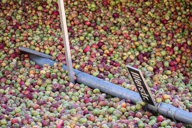 Äpfel nach Unfall auf Straße