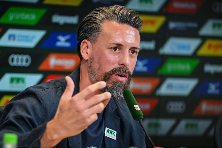 Sandro Wagner