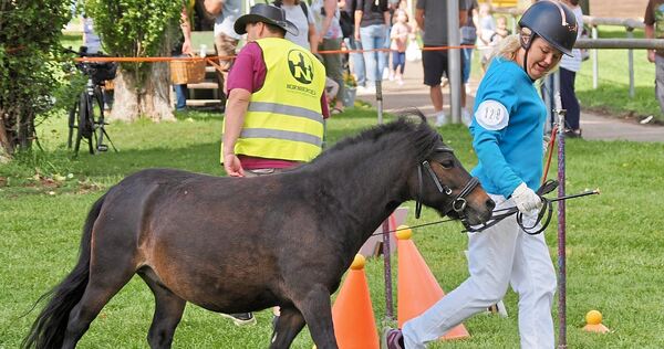 Artig geht‘s durch den Parcours.
