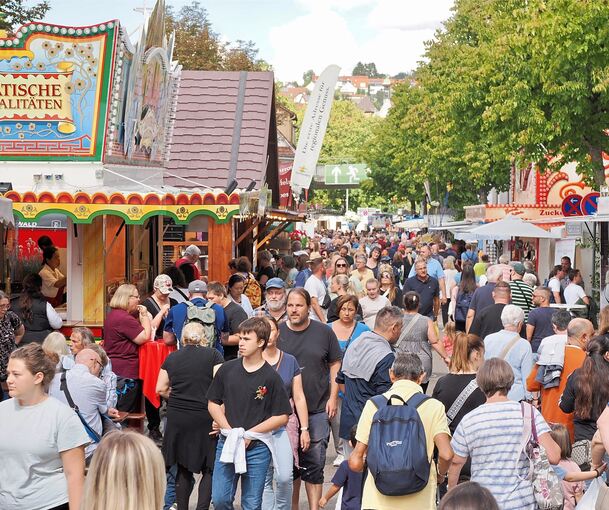 Der Pferdemarkt in Bietigheim-Bissingen ist auch dieses Jahr ein Publikumsmagnet.