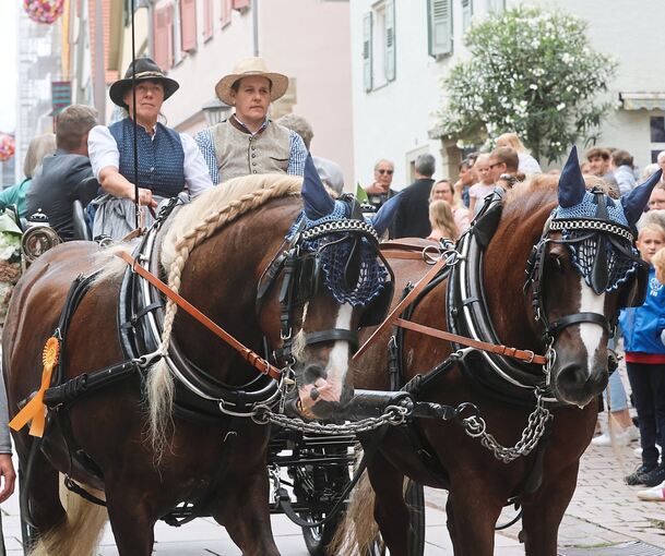 Pferde spielten auch beim Umzug durch die Altstadt eine wichtige Rolle.