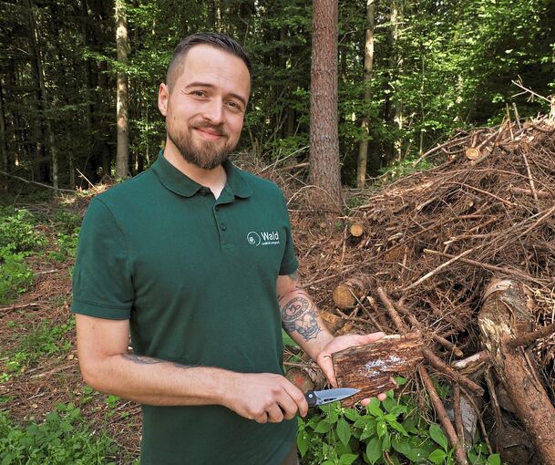 Tim Köstler vor einem Haufen aus abgeholzten Fichten. Er zeigt, wie sich der Borkenkäfer in die Borke frisst.