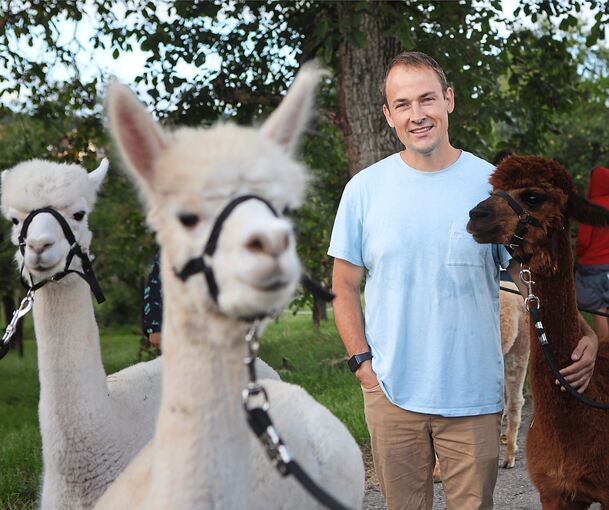 Patrick Stellmach mit drei seiner Alpakas. Im Arm: Nikolaus.