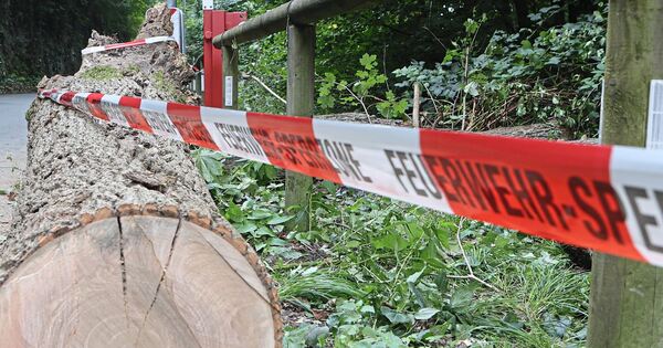 Wegen-Baumrutsch-Otto-Konz-Weg-bis-auf-weiteres-gesperrt