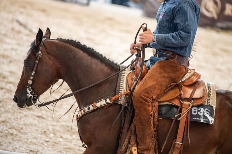 Die Western-Messe Americana - Traum vom Wilden Westen am Bodensee