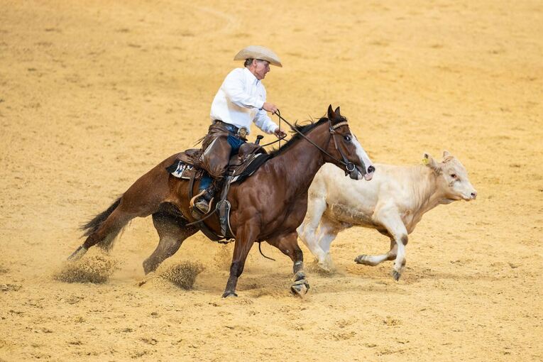Die Western-Messe Americana - Traum vom Wilden Westen am Bodensee