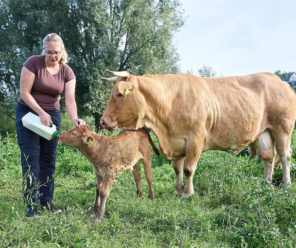 Melissa Jäckel gibt ihrem Flaschenkind das Frühstück: 3,5 Liter Milch sind im Nu ausgetrunken. Die Mutter des noch keine drei Wochen alten Kälbchens passt auf ihn auf.