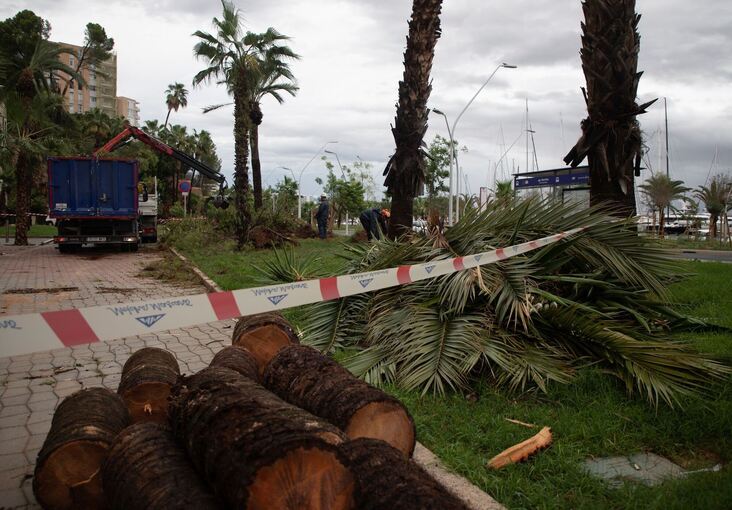 Wetter auf Mallorca