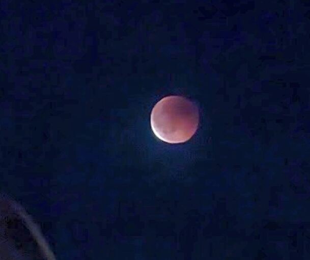 Der Blutmond, fotografiert von LKZ-Leser Peter Weiss.
