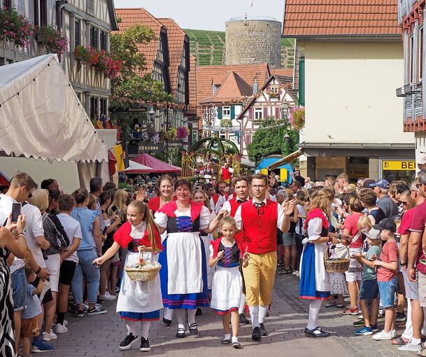 Der Festumzug beim Winzerfest 2023. Dieses Jahr nehmen 69 Gruppen teil; dazu kommen zwei Kutschen.