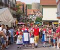 Höhepunkt des Winzerfests ist der Festumzug am Sonntag, hier aufgenommen 2023.