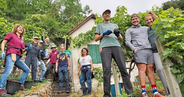 Ludwigsburger-Wengerter-Projekt-Heldenschmiede-Anmeldefrist-l-uft