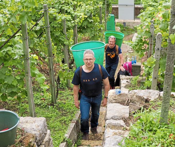 In Butten werden die Trauben aus dem Weinberg getragen.