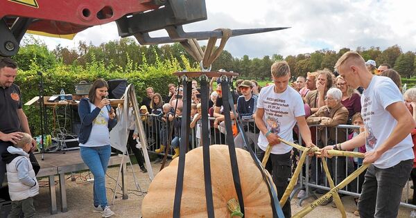 482-Kilo-K-rbis-beim-Early-Weigh-Off-im-Bl-henden-Barock