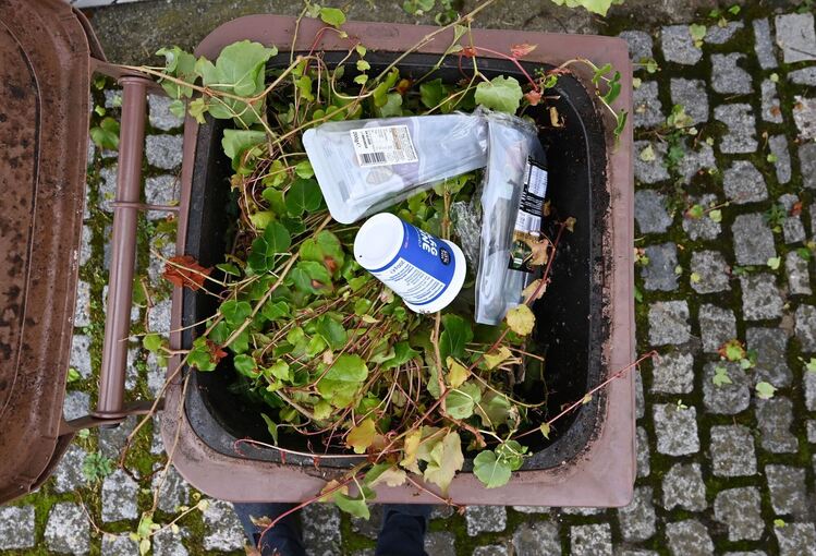 Plastik in Biomülltonne