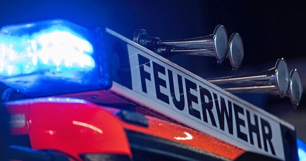 Ursache-unklar-Transporter-ger-t-nach-Unfall-bei-Pleidelsheim-in-Brand