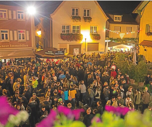 Das traditionelle Winzerfest im schönsten Weinort Deutschlands geht in diesem Jahr in die nächste Runde: Der Besigheimer Marktplatz wird zum Treffpunkt vieler Weinfans.