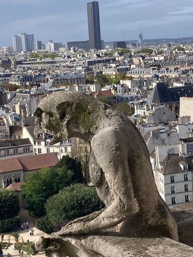 Wiedereröffnung der Türme der Pariser Notre-Dame