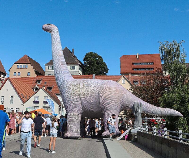 Auch diesen Aufblas-Dinosaurier hatten die „Vino Dinos“ mitgebracht. Auch diesen Aufblas-Dinosaurier hatten die „Vino Dinos“ mitgebracht.