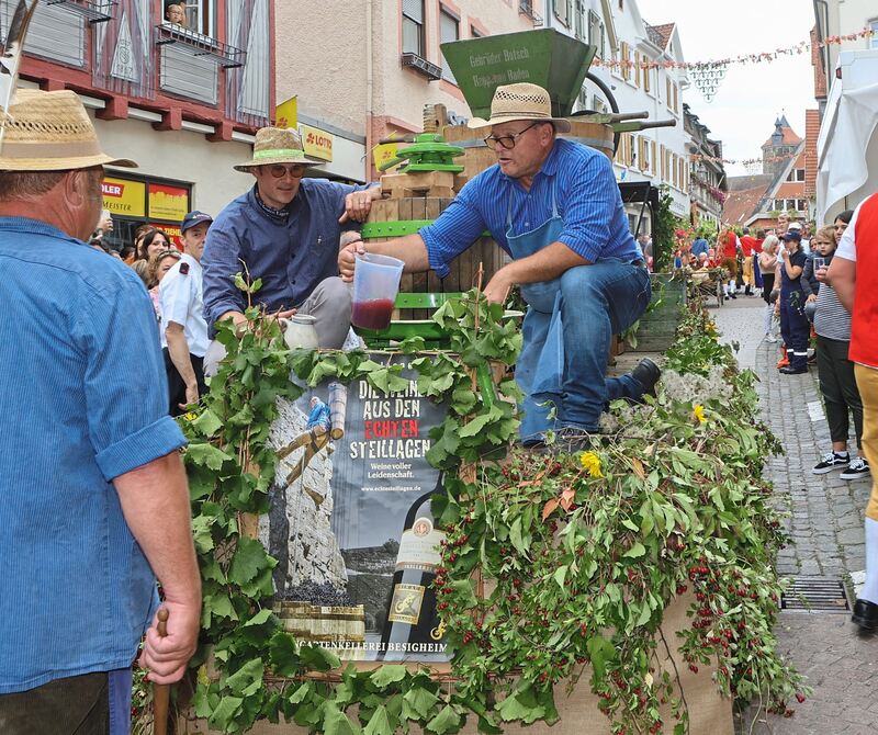 Auch auf diesem Wagen ging es um den Weinbau, wie die Traubenpresse zeigt. Auch auf diesem Wagen ging es um den Weinbau, wie die Traubenpresse zeigt.
