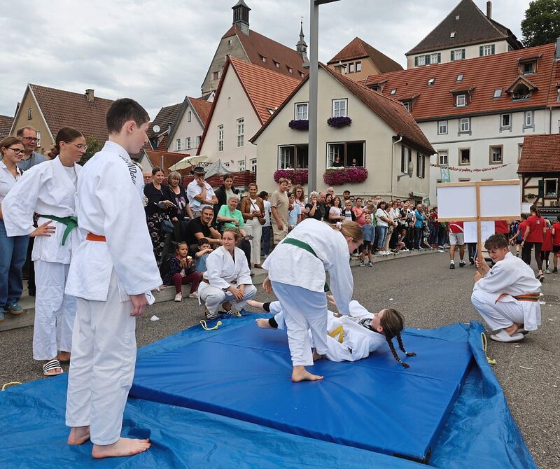 Die Judo-Abteilung der Spvgg demonstrierte ihre Kampfkunst. Die Judo-Abteilung der Spvgg demonstrierte ihre Kampfkunst.
