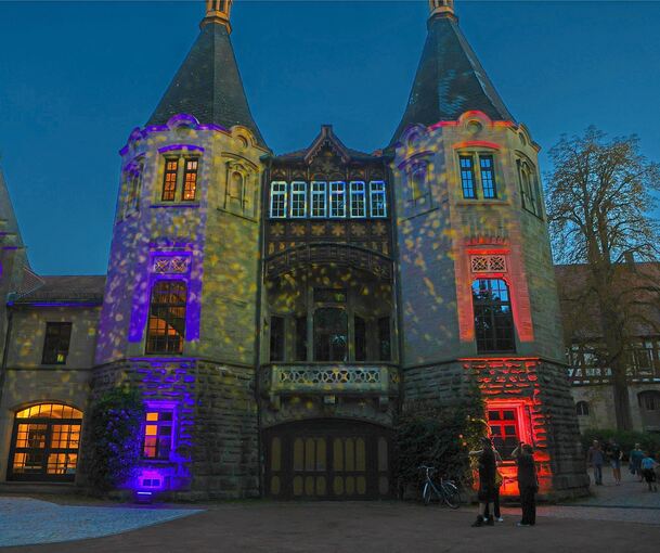Ein Lichtspektakel bot sich an der Fassade des Hemminger Schlosses. Im Innern wurden zudem Fotografien von Schmetterlingen und die Multivisionsshow der Nabu Foto-AG gezeigt.