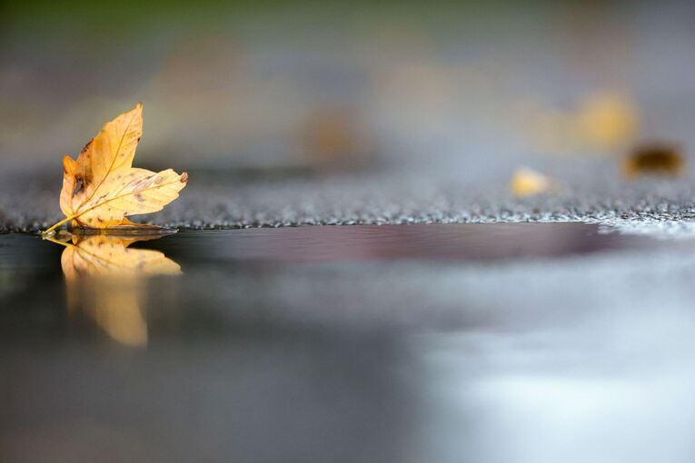 Wetter in Baden-Württemberg