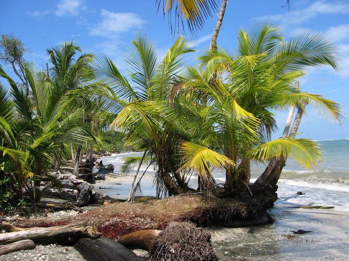 Mutmaßlich zwei Deutsche in Costa Rica tot aufgefunden