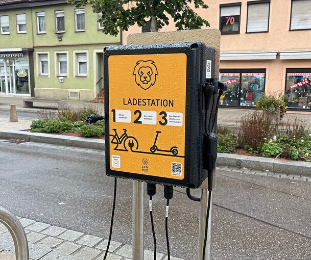 Die neue Ladestation mit zwei speziellen Anschlüssen und einer Steckdose.