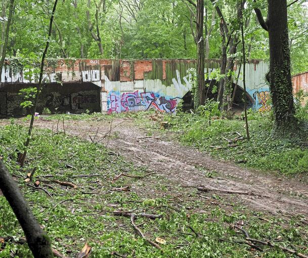 Ziel für Sprayer und Abenteuerlustige: die Ruinen im Osterholzwald.