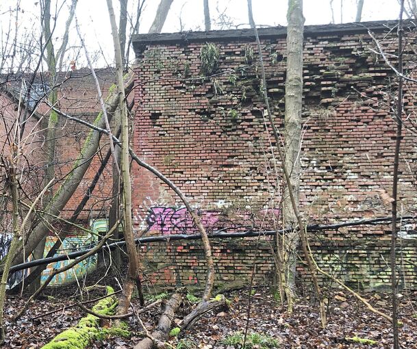 Überall brechen schon Steine heraus: die Ruinen im Osterholzwald kommen jetzt weg.