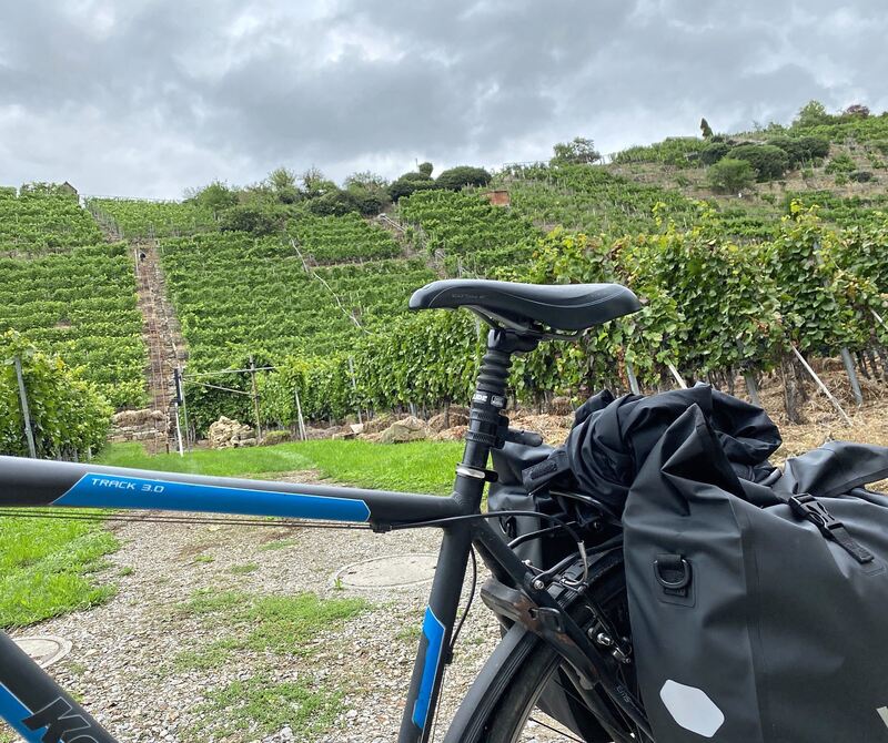 Vor der malerischen Kulisse der Weinhänge zieht das Wetter leider wieder etwas zu. Vor der malerischen Kulisse der Weinhänge zieht das Wetter leider wieder etwas zu.