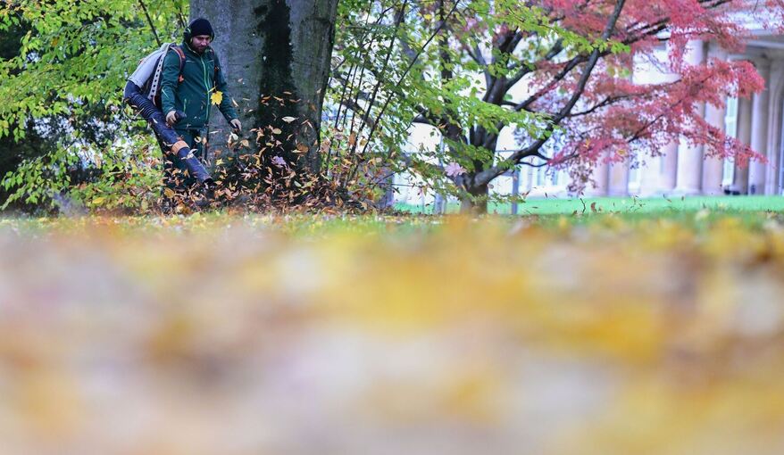 Herbstlaub
