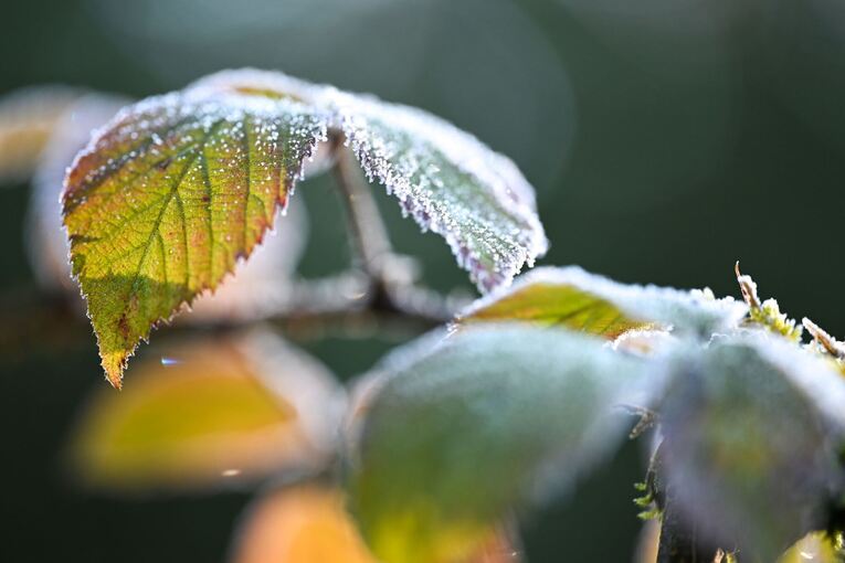 Niedrige Temperaturen - Wetter im Südwesten