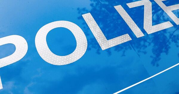 Zwischen Großsachsenheim und Unterriexingen: Bagger von archäologischer ...