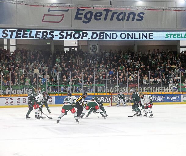 Ein sportliches Politikum bei den Steelers-Ultras: die neue LED-Bande, für die das Banner „Enztalkurve Bietigheim“ weichen musste.