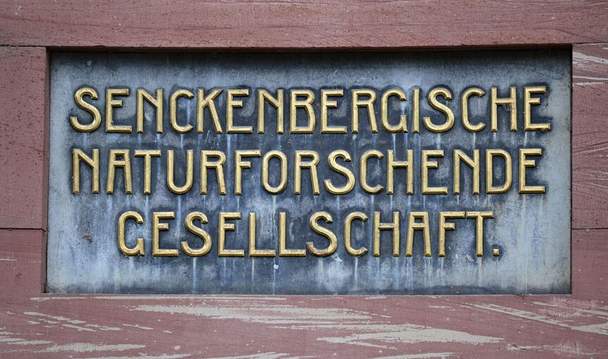 Senckenberg Gesellschaft für Naturforschung