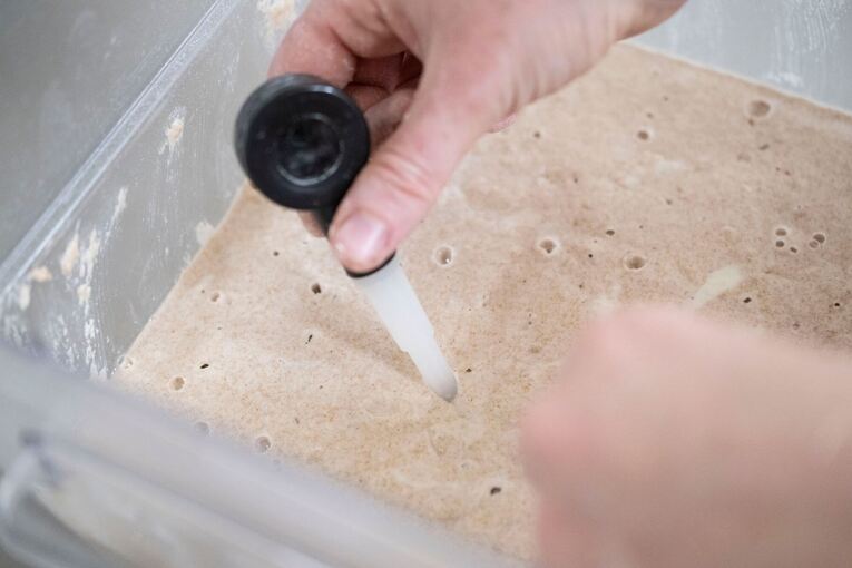 Sauerteigbrot-Bäckerei