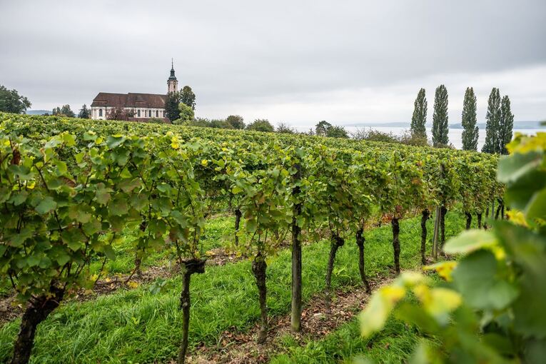 Wetter in Baden-Württemberg