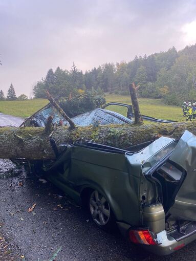 Unwetter - Baum stürzt auf Kleinbus