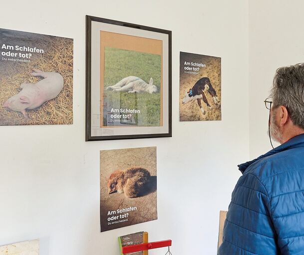 Die Bildmotive „Am Schlafen oder tot?“ sind Teil einer Plakatkampagne der Tierrechtsorganisation Peta.