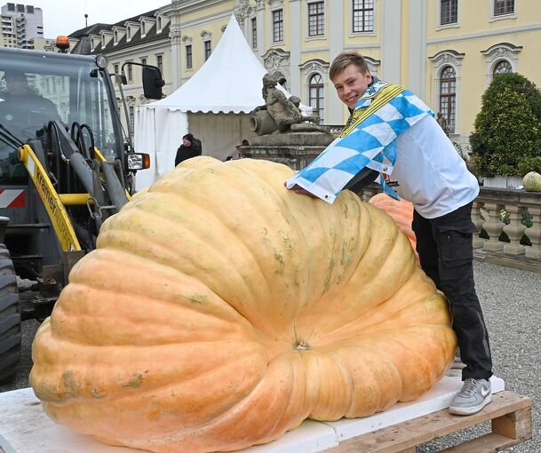 804 Kilo bringt der Gewinner-Kürbis auf die Waage.