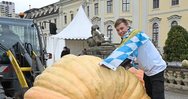 804 Kilo bringt der Gewinner-Kürbis auf die Waage.