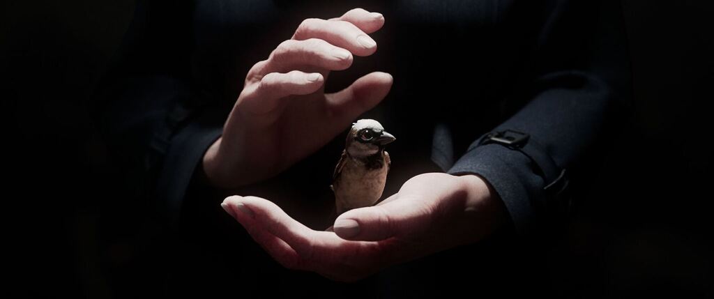 Kurzfilm «A Sparrow's Song»