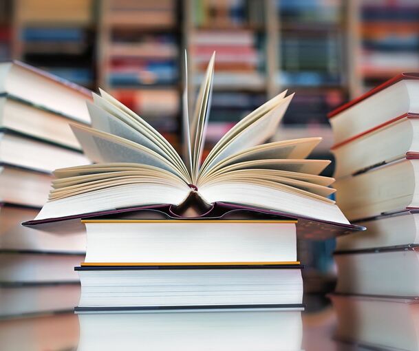 Am 4. November öffnet die umgebaute Bibliothek im Schlösslesfeld. Ab Januar soll sie als Open-Library funktionieren.