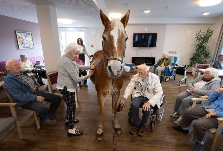 Mit dem Pferd ins Altenheim