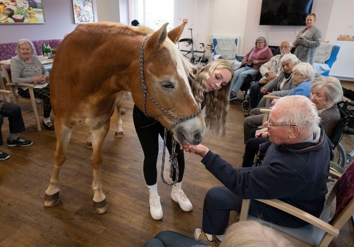 Mit dem Pferd ins Altenheim