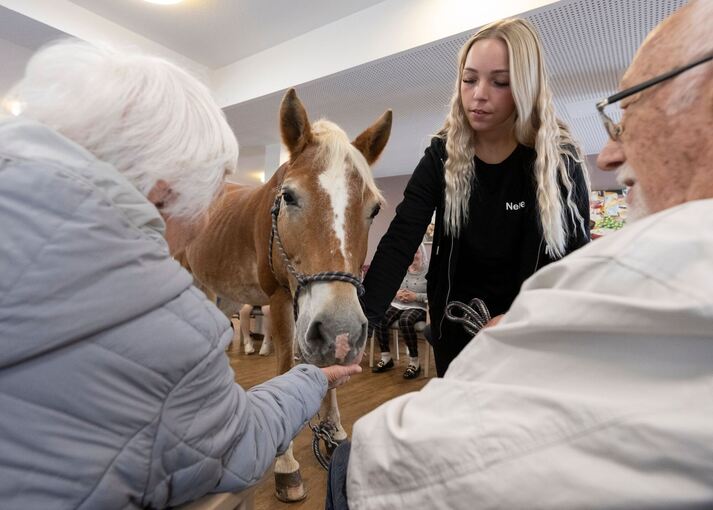 Mit dem Pferd ins Altenheim